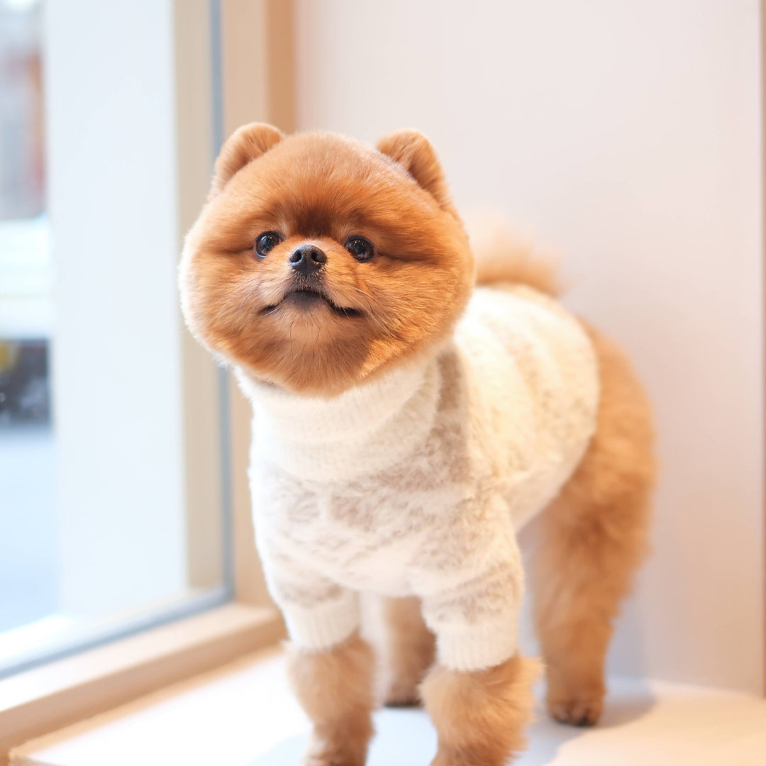 Soft Cloud Sweater (Let It Snow) | For Dogs & Cats