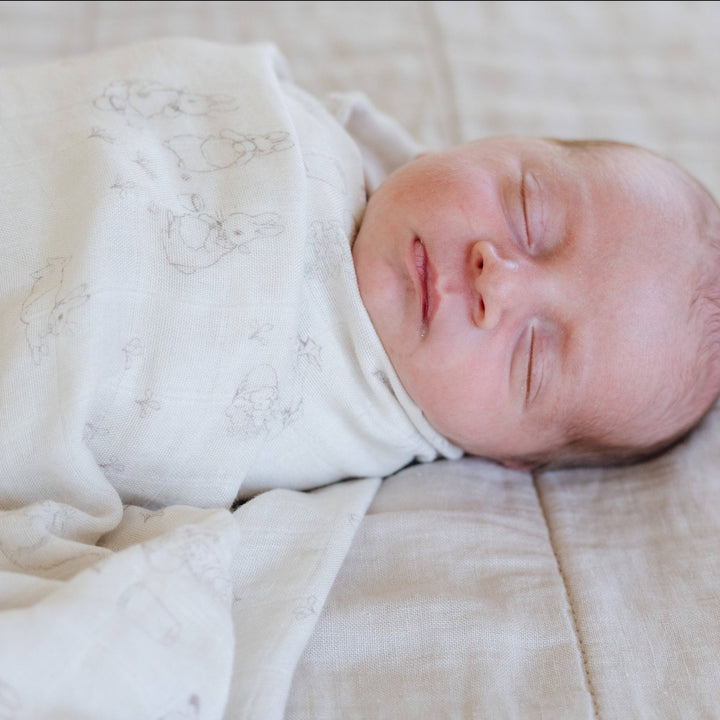 PETER RABBIT™ BAMBOO RAYON MUSLIN 2-PACK SWADDLES