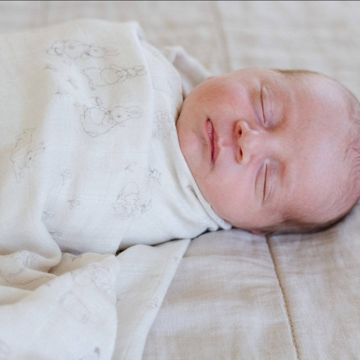 PETER RABBIT™ BAMBOO RAYON MUSLIN 2-PACK SWADDLES